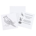 zwei weiße Karten, die eine Karte zeigt einen Vogel zum Ausmalen , die ander Karte ist eine Beschreibung . Im Hintergrund ein weißer Briefumschlag
