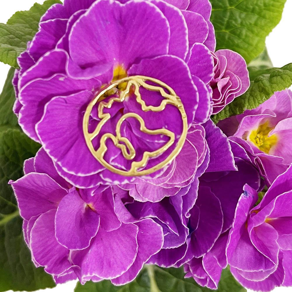 Round globe pendant on a pink-coloured flower.