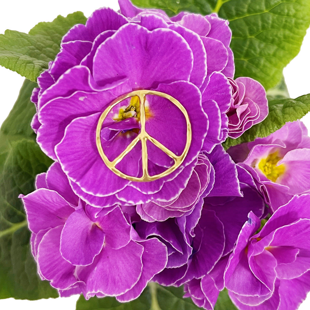 A pendant with peace symbol placed on a pink bloom.