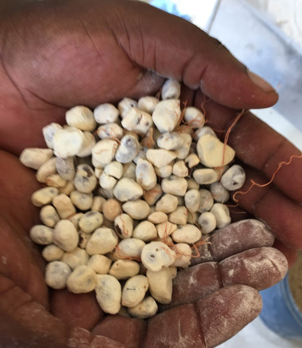 BIO Baobab Fruchtpulver