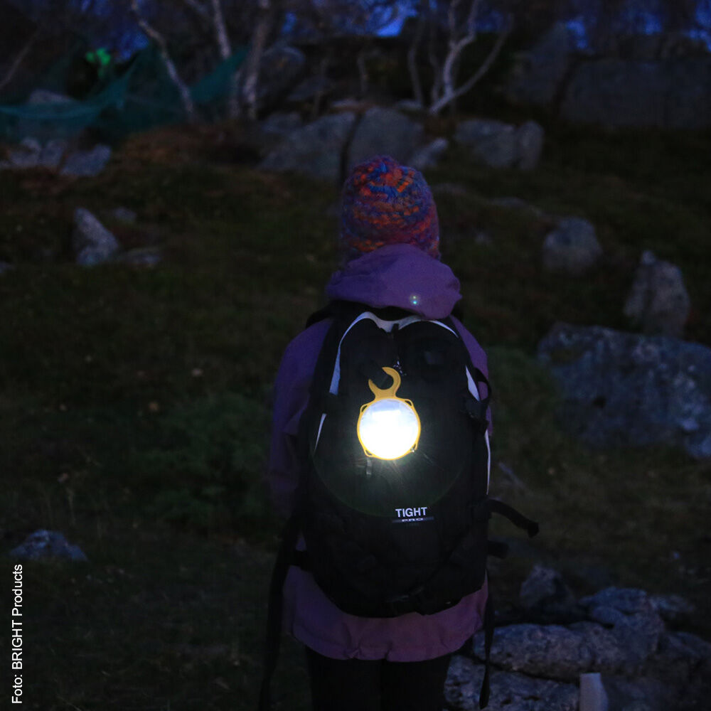 Solarlampe "SunTurtle"-6