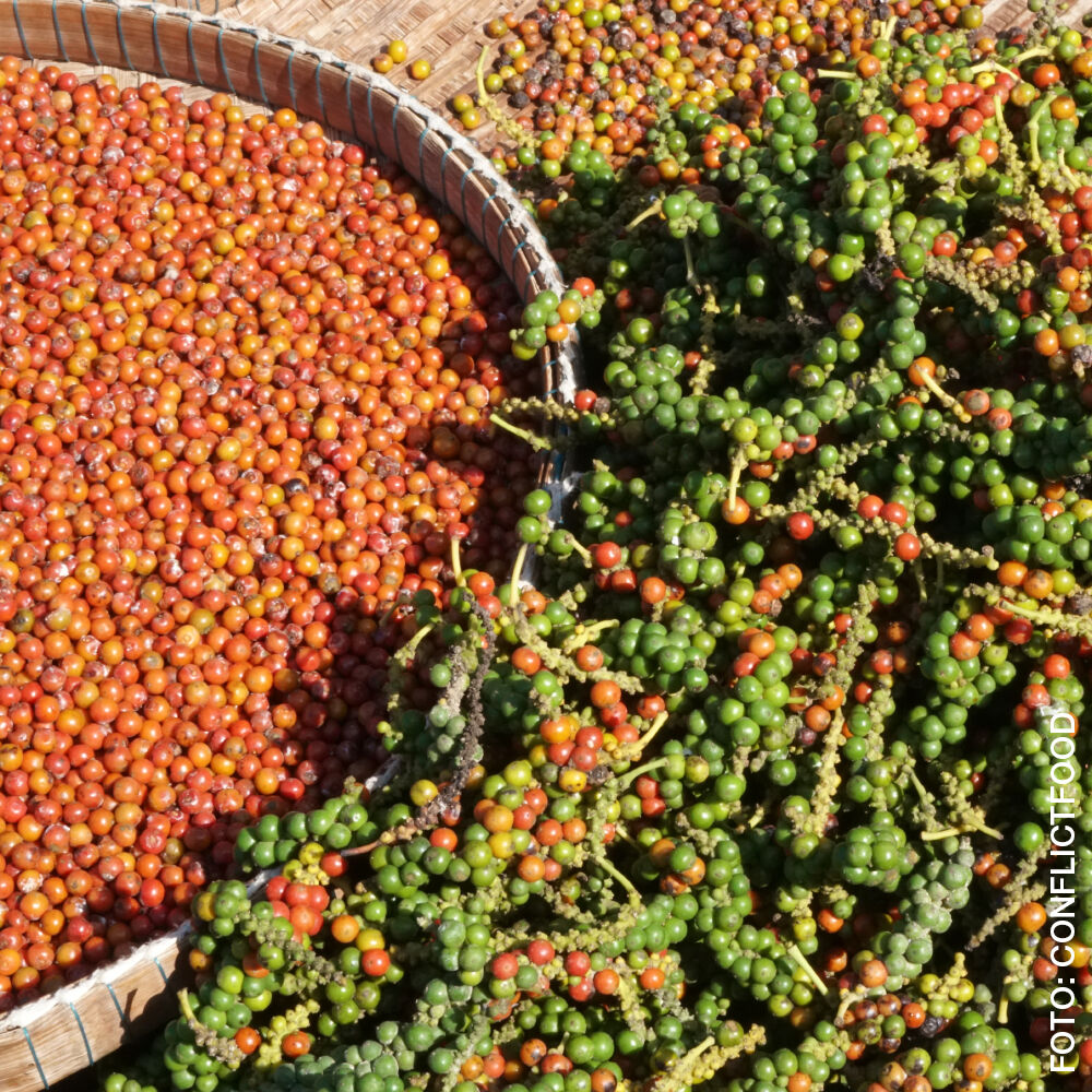 Gourmet-Pfefferkörner 55g, Vorratsbeutel-5