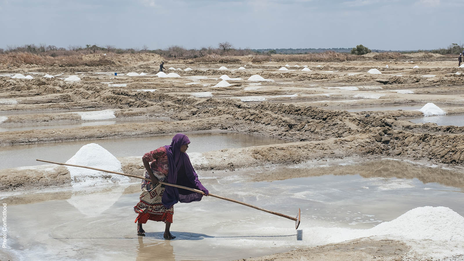 Existenzen sichern mit blühendem Salz-1