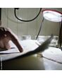 6.Vorschau-Bild Solarlampe "SunTurtle"