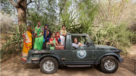 Die bengalischen Tiger im indischen Nationalpark Rhantambore sind wahrhaft wunderschöne Tiere...