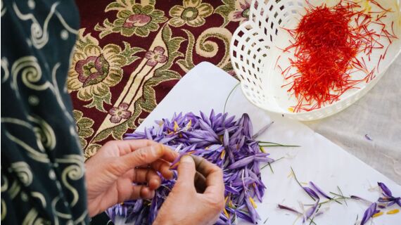  
In Afghanistan herrschen Hunger und Not. Die politische Situation erschwert e...