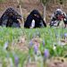  
In Afghanistan herrschen Hunger und Not. Die politische Situation erschwert e...