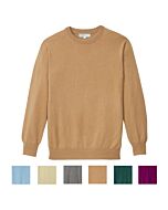 Langärmeliger Pullover mit Rundhals. Die Farbauswahl ist in sechs Quadraten dargestellt.