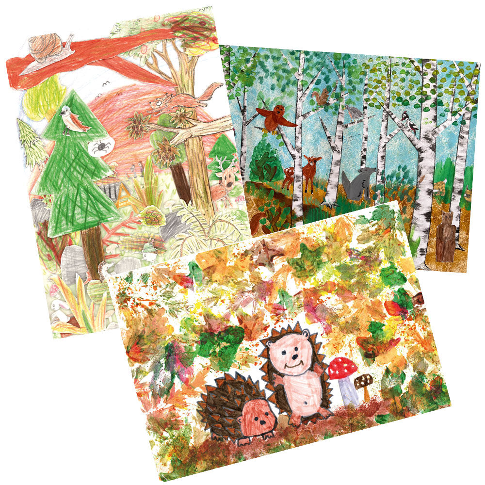 Grußkarte Birkenwald-1