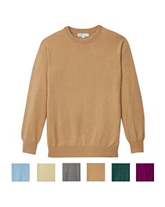 Langärmeliger Pullover mit Rundhals. Die Farbauswahl ist in sechs Quadraten dargestellt.