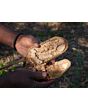 Vorschaubild BIO Baobab Fruchtpulver
